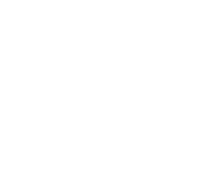 Logo_FKSylt_2008_72dpi_sw-Kopie-weiss-300